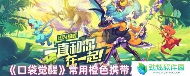 口袋觉醒用哪个橙色携带好